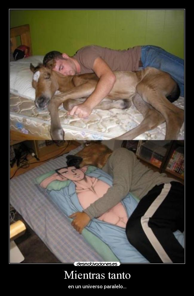 Mientras tanto - en un universo paralelo...