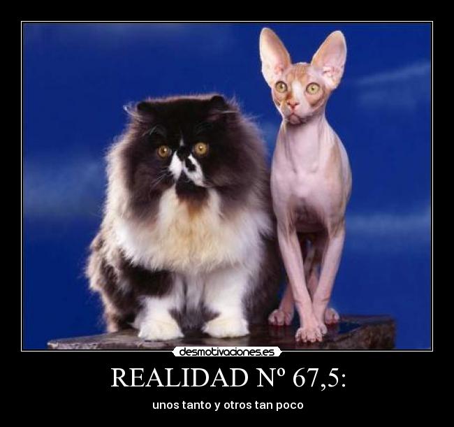 REALIDAD Nº 67,5: - 