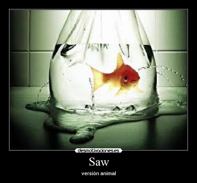 Saw - 