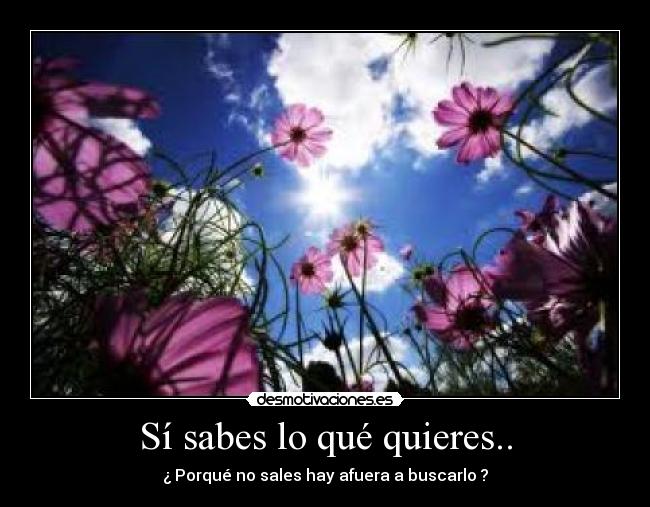 Sí sabes lo qué quieres.. - 