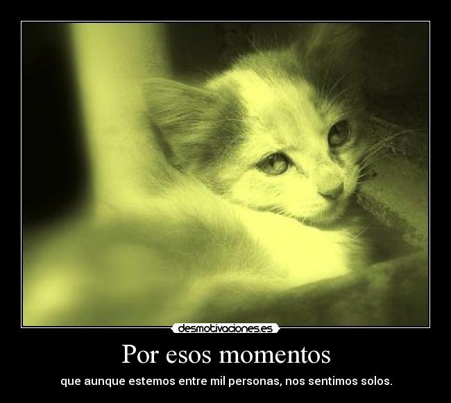 Por esos momentos -