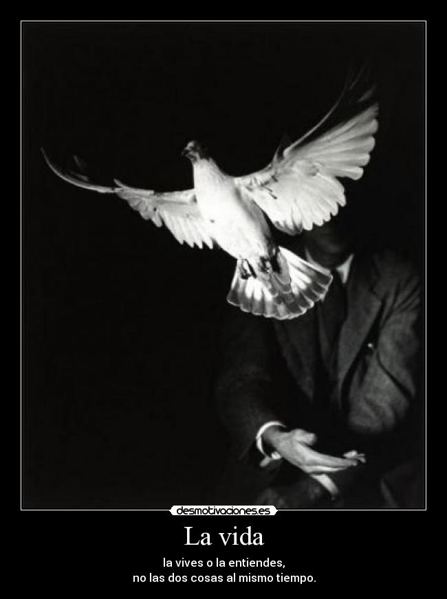 La vida -