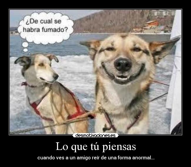 Lo que tú piensas - cuando ves a un amigo reír de una forma anormal...