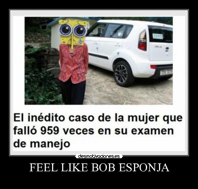 FEEL LIKE BOB ESPONJA -