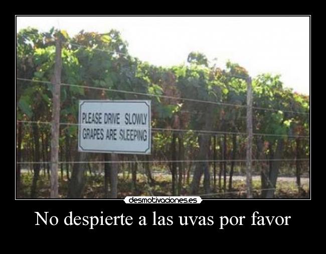 No despierte a las uvas por favor -