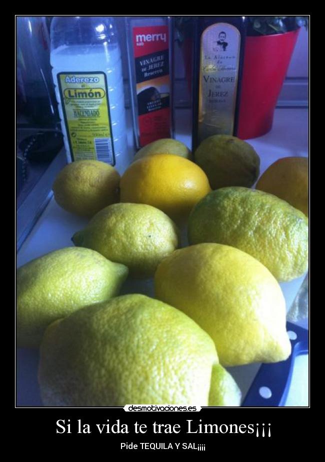 Si la vida te trae Limones¡¡¡ - 