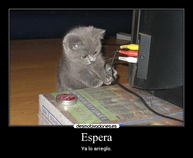 Espera - 