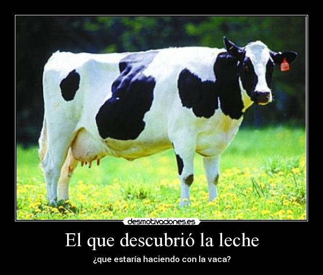 El que descubrió la leche - ¿que estaría haciendo con la vaca?