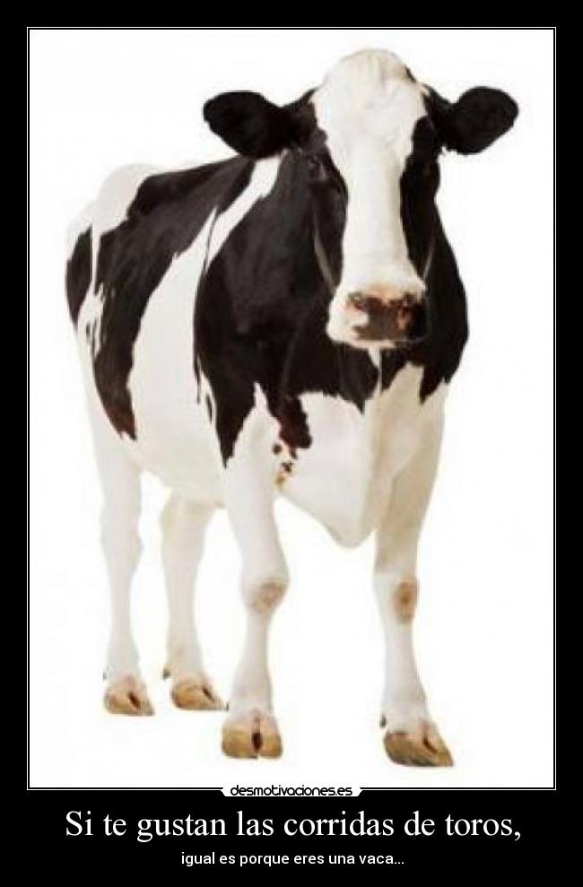 Si te gustan las corridas de toros, -