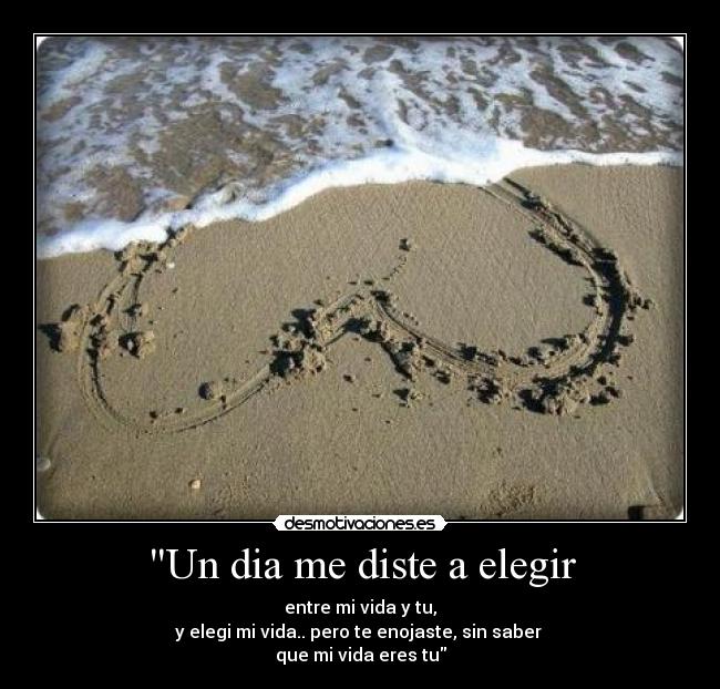 Un dia me diste a elegir - entre mi vida y tu,
y elegi mi vida.. pero te enojaste, sin saber 
que mi vida eres tu