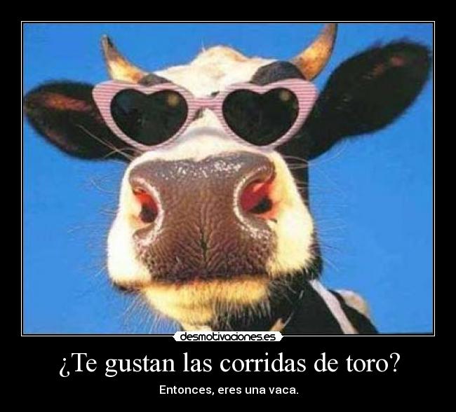 ¿Te gustan las corridas de toro? - Entonces, eres una vaca.
