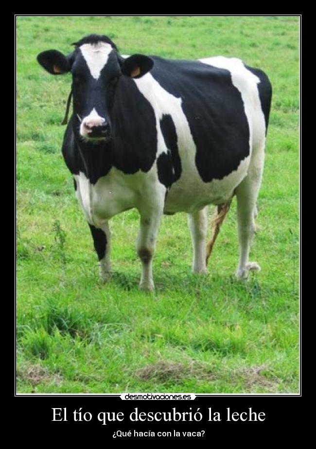 El tío que descubrió la leche - ¿Qué hacía con la vaca?