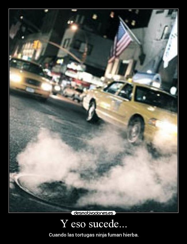 Y eso sucede... - Cuando las tortugas ninja fuman hierba.