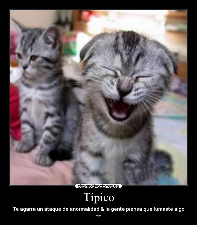 Típico -