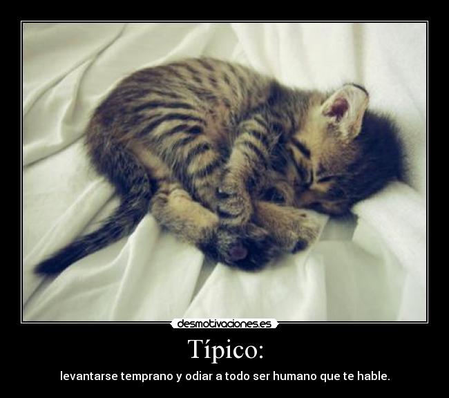 Típico: - levantarse temprano y odiar a todo ser humano que te hable.