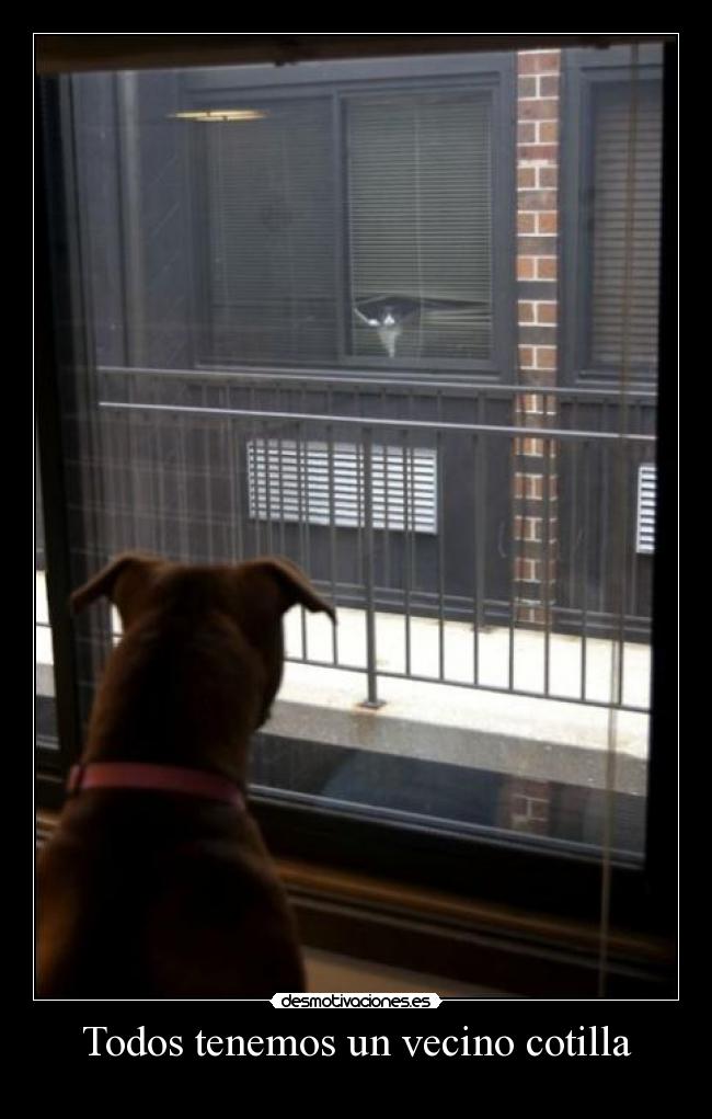 carteles vecino cotilla desmotivaciones