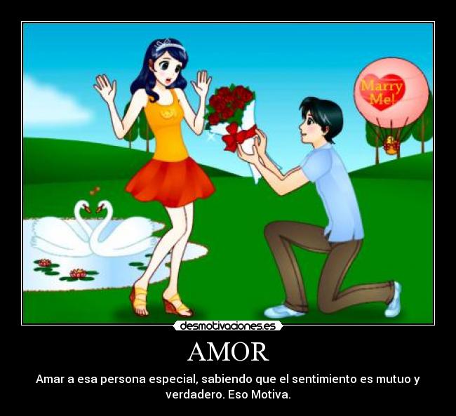 AMOR - 