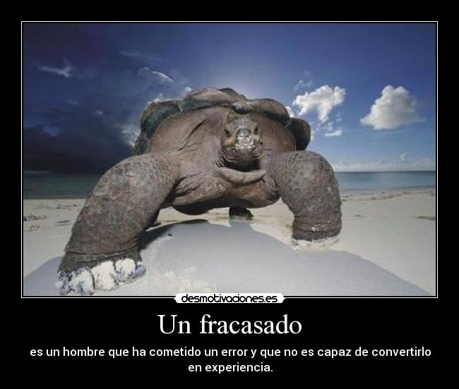 im-genes-y-carteles-de-fgfg-desmotivaciones