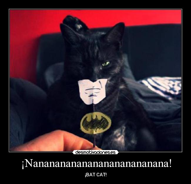 ¡Nanananananananananananana! - ¡BAT CAT!