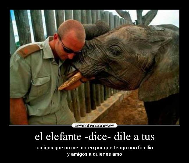 el elefante -dice- dile a tus -