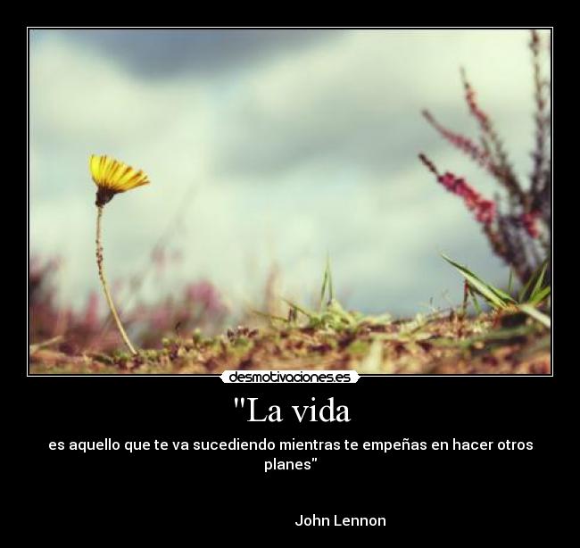 La vida - es aquello que te va sucediendo mientras te empeñas en hacer otros planes
John Lennon