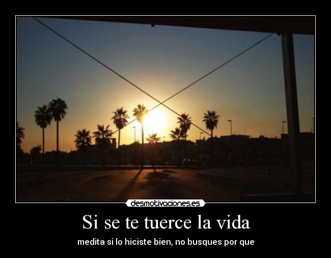 Si se te tuerce la vida - medita si lo hiciste bien, no busques por que