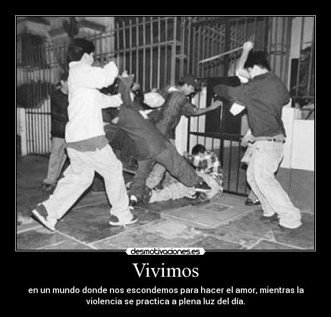 Vivimos - 