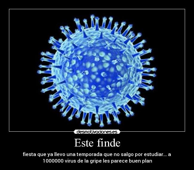 Este finde - fiesta que ya llevo una temporada que no salgo por estudiar... a
1000000 virus de la gripe les parece buen plan