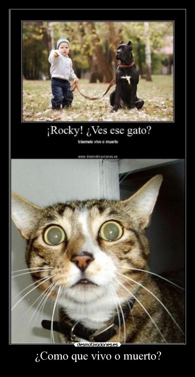 ¿Como que vivo o muerto? -