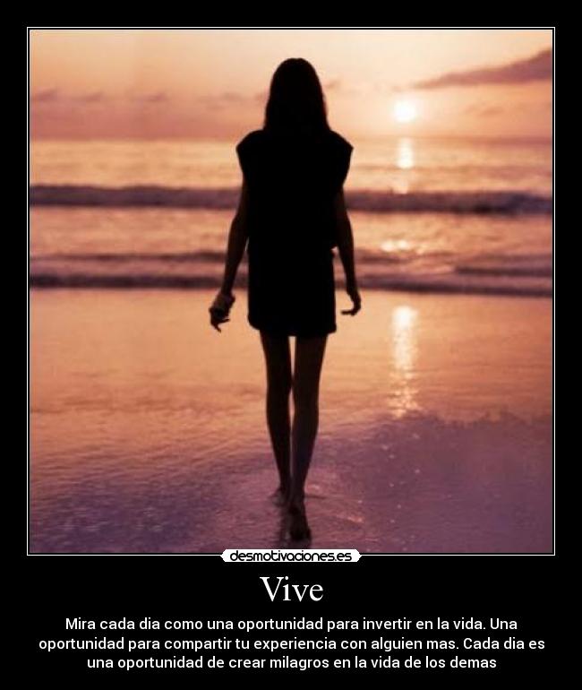 Vive - 