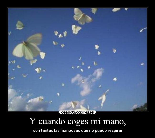 Y cuando coges mi mano, - son tantas las mariposas que no puedo respirar