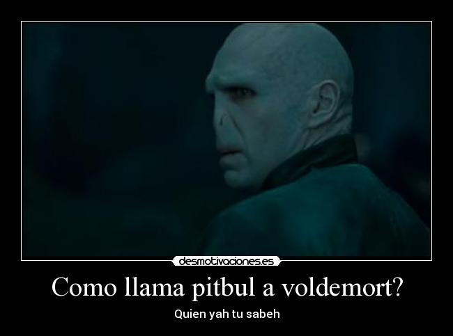 Como llama pitbul a voldemort? - Quien yah tu sabeh