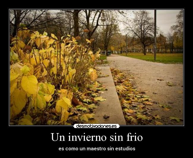 Un invierno sin frio - es como un maestro sin estudios