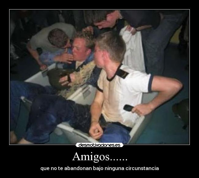 Amigos...... - que no te abandonan bajo ninguna circunstancia
