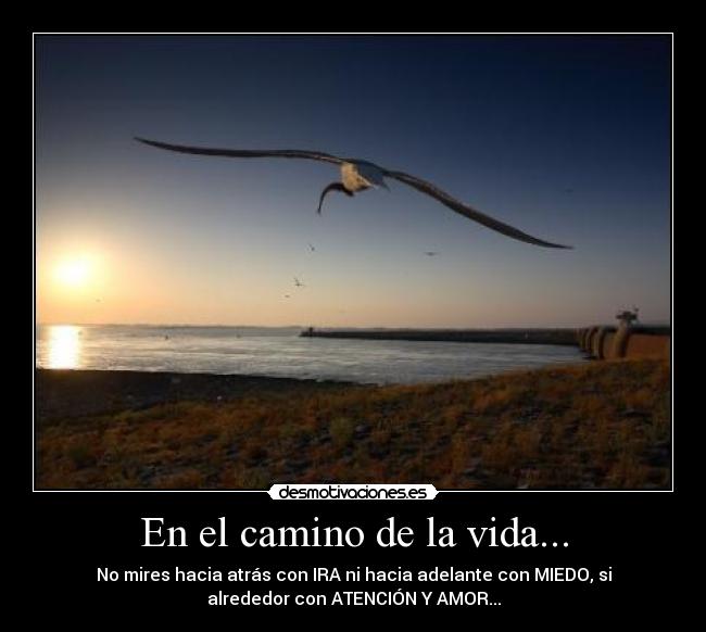 carteles vida floorgoomez desmotivaciones