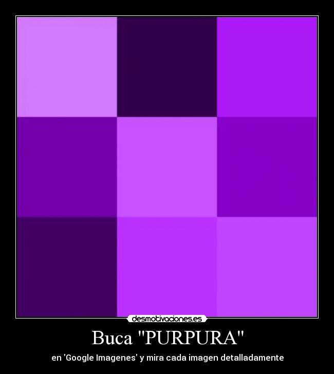 Buca PURPURA - 