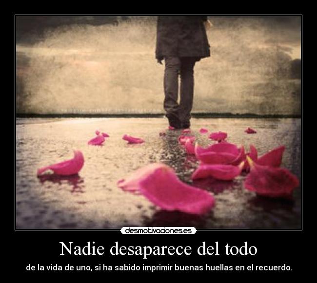 carteles sara desmotivaciones