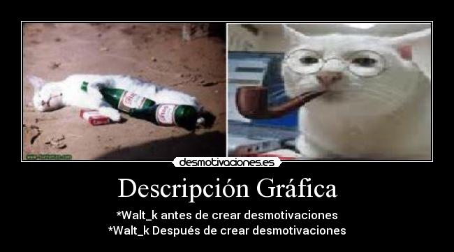 Descripción Gráfica - *Walt_k antes de crear desmotivaciones
*Walt_k Después de crear desmotivaciones