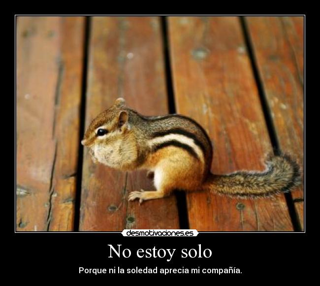 carteles las ardillas molan desmotivaciones