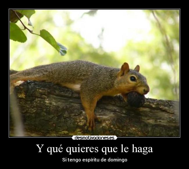 carteles las ardillas molan desmotivaciones