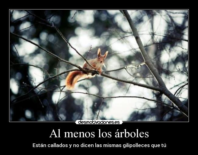 carteles las ardillas molan desmotivaciones