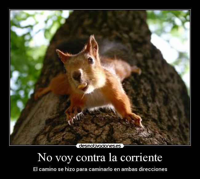 carteles despues convirtio chocapic desmotivaciones