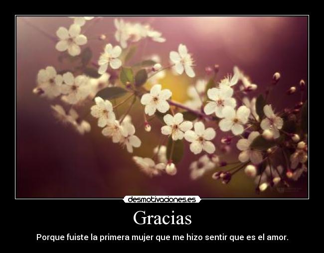 Gracias - 