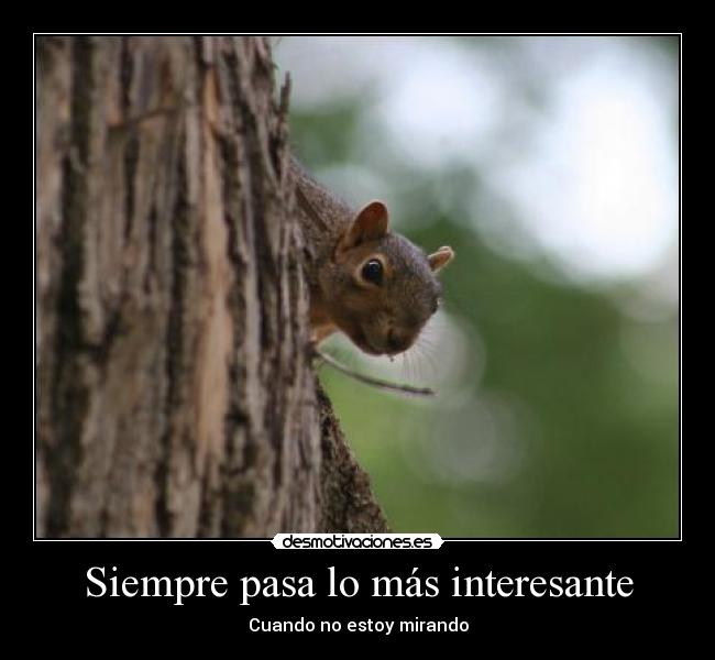 Siempre pasa lo más interesante -