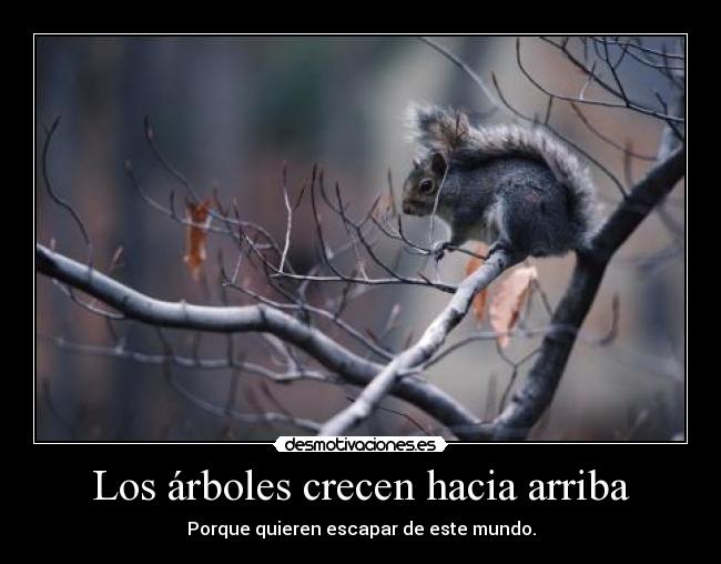 carteles las ardillas molan falsalarma tambien desmotivaciones