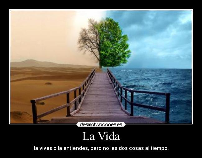 La Vida -