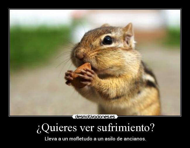 ¿Quieres ver sufrimiento? -