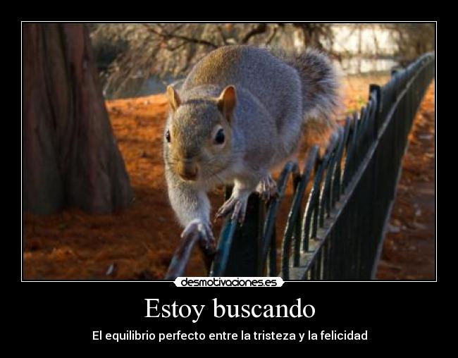 Estoy buscando - 