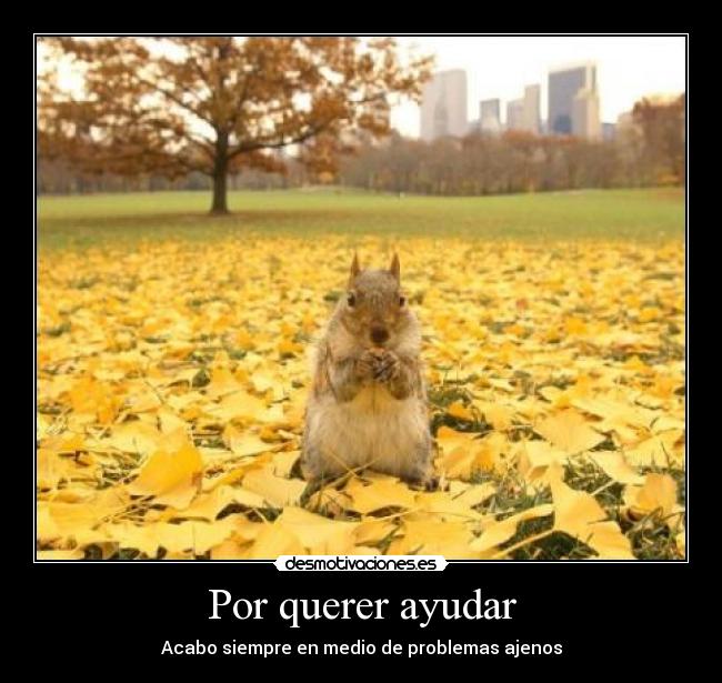 carteles las ardillas molan desmotivaciones