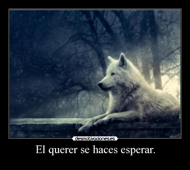 El querer se haces esperar. -